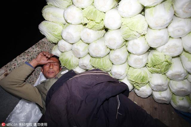 最累工作大排行 世界睡眠日揭秘哪种职业最缺觉