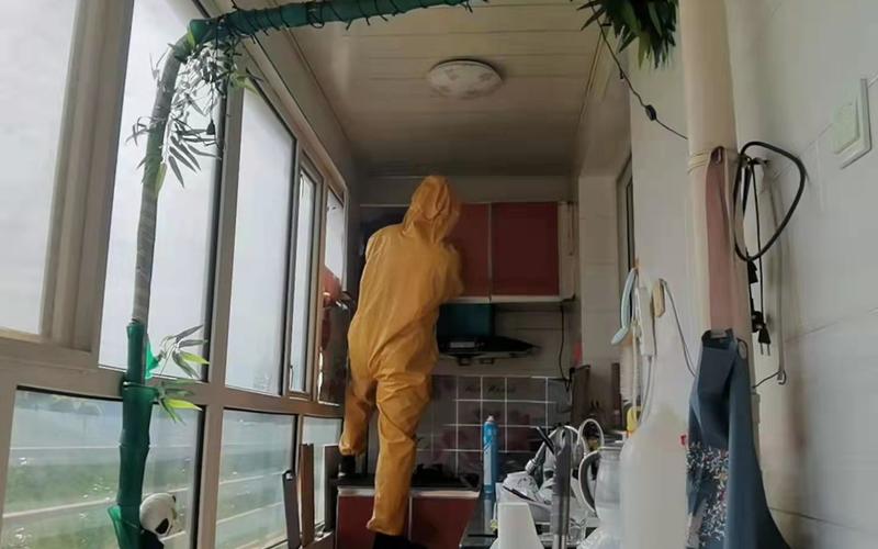 张家口下花园:厨房里发现马蜂窝消防员设法除隐患