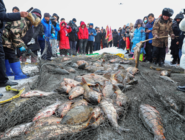 沽源縣庫倫淖爾第六屆冰雪漁獵文化旅游季開幕