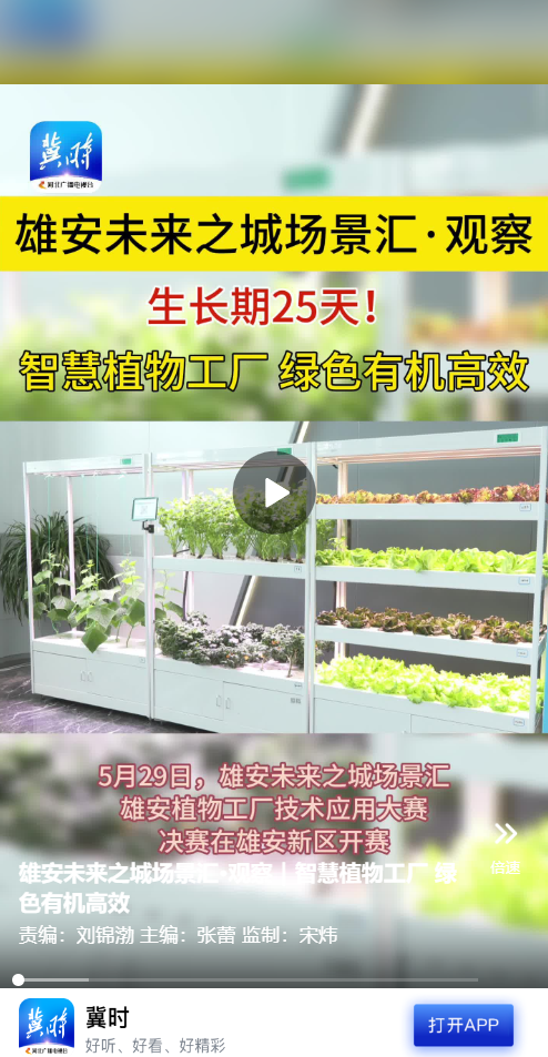 雄安未来之城场景汇·观察｜智慧植物工厂 绿色有机高效