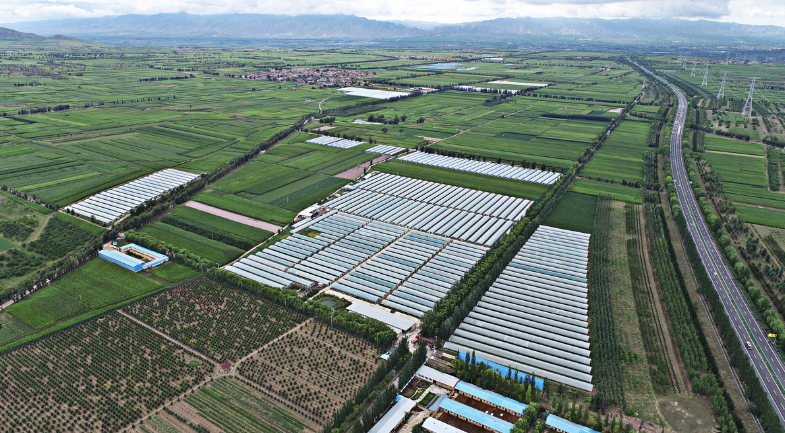 奋楫笃行启新程继往开来谱华篇——阳原县2025年高质量发展纪实(图2)