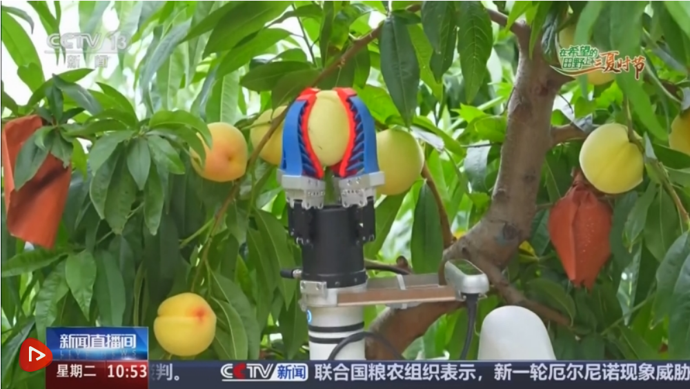 “丰”景入画机械“新农人”服务“三夏”生产护航农产品丰产丰收(图4)